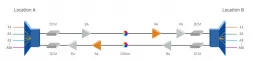 Joint application of EDFA and Raman optical amplifier