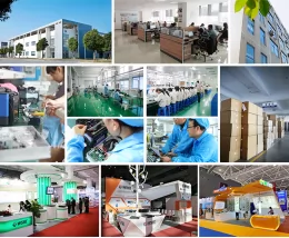 Seize the Opportunities in Optical Industry